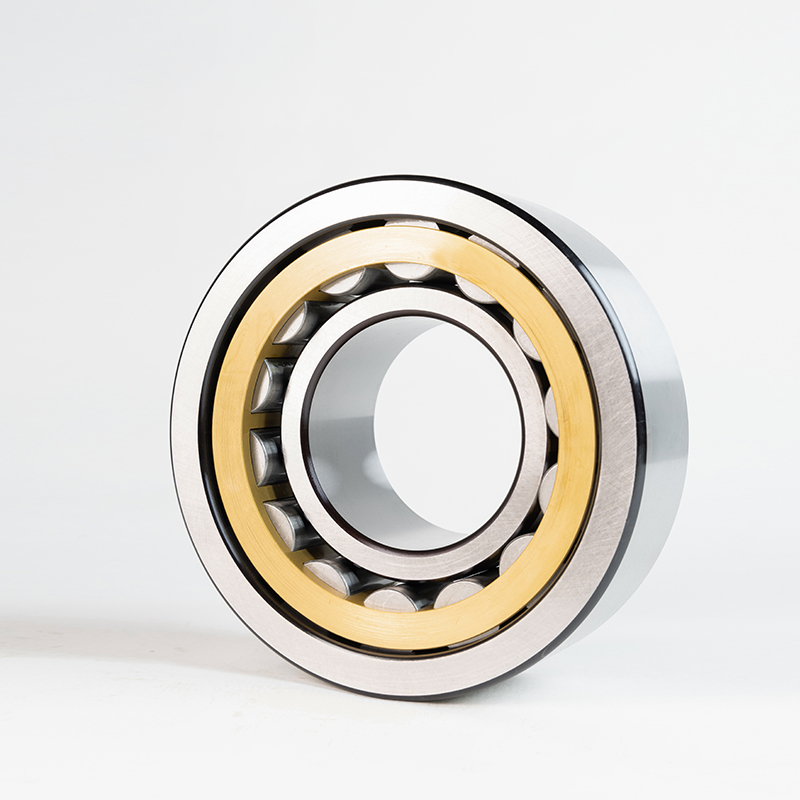 Single Row Cylindrical Roller Bearings